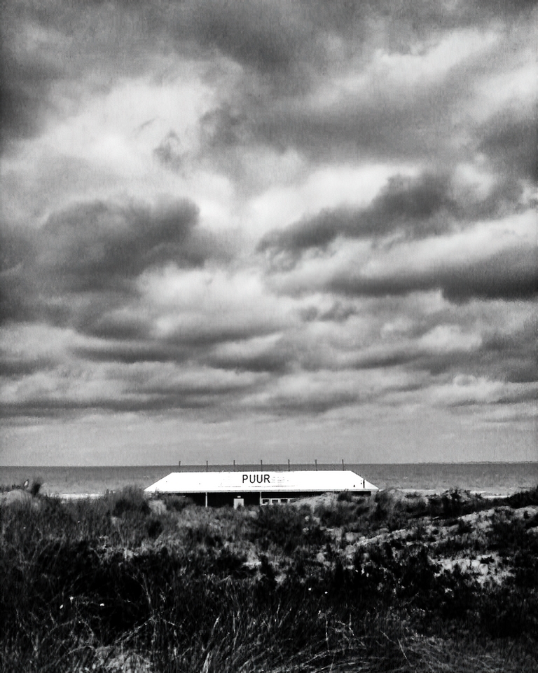 Pays bas - Pure