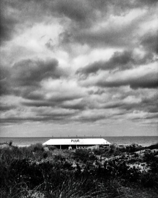 Pays bas - Pure