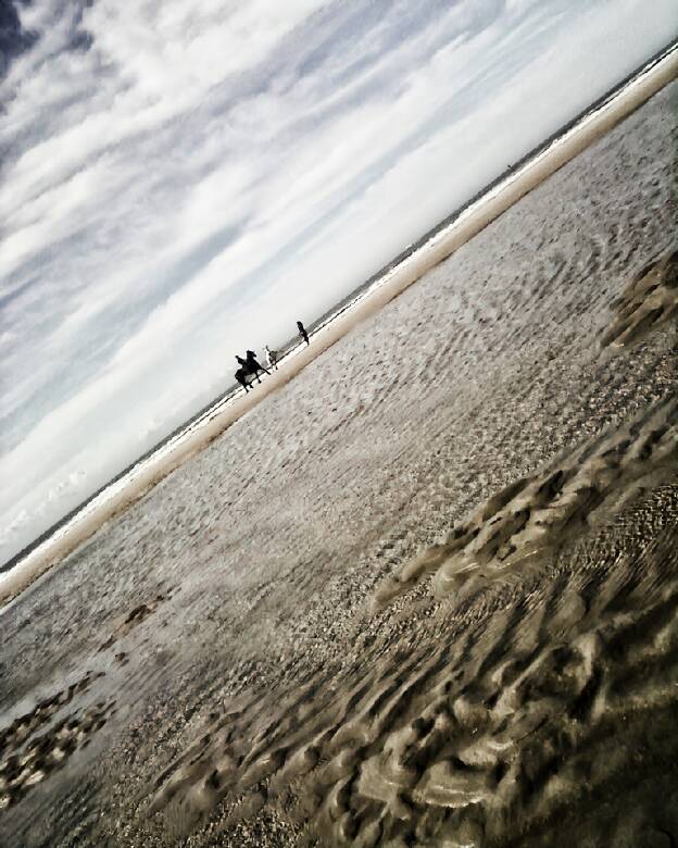 Plage - Chevaux
