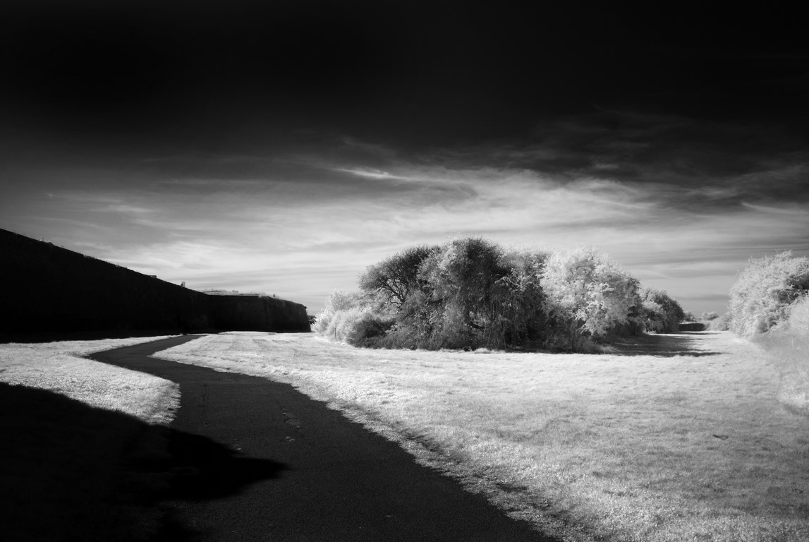 Infrarouge - Paysage NB