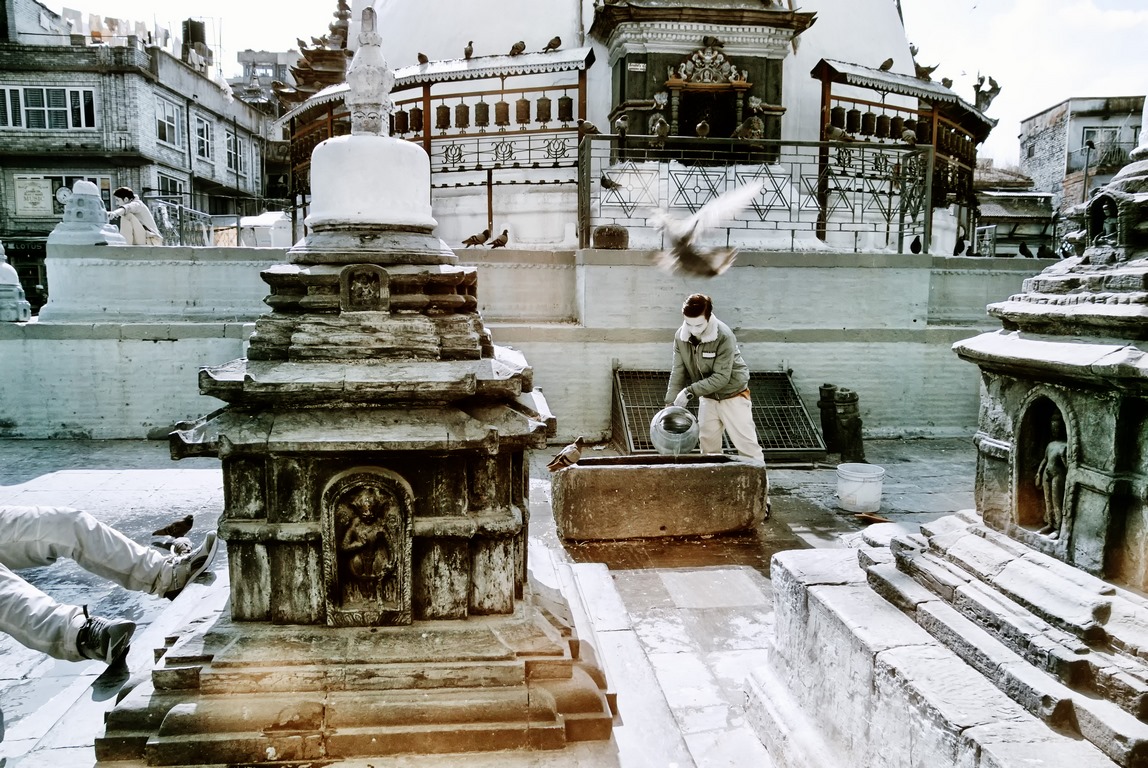 Infrarouge - KTM Pigeons 