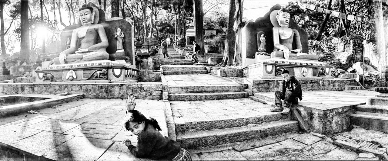 Panoramique - Temple aux singes