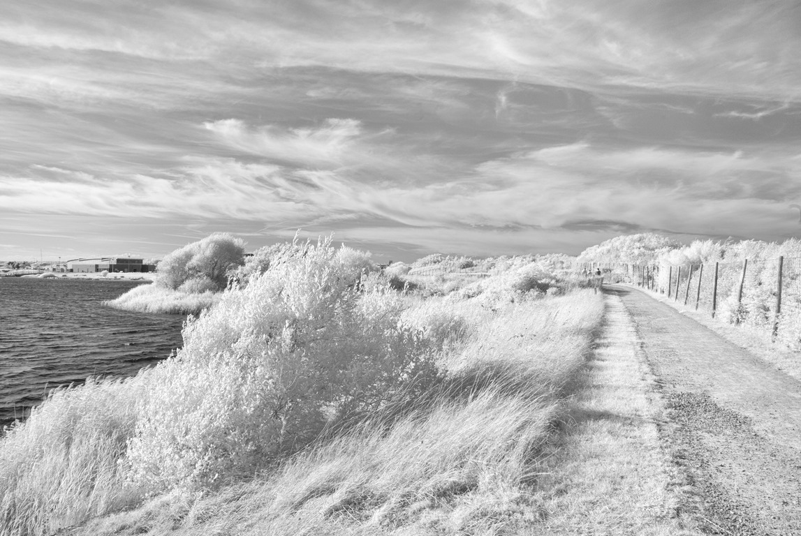 Base de voile - Chemin