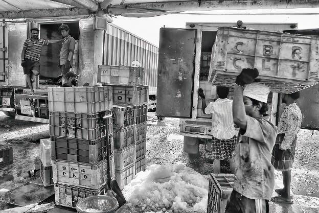Chennai - Port de pêche