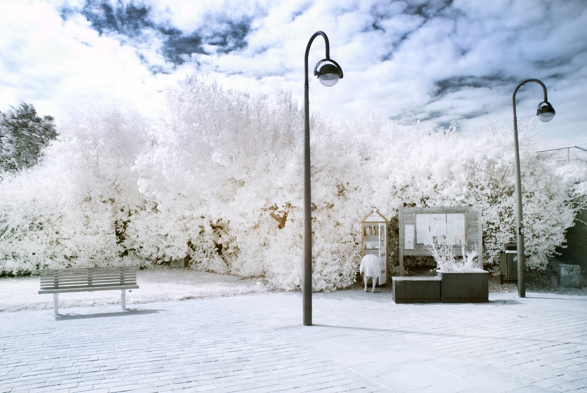 Infrarouge - Boite a livre -Sangatte