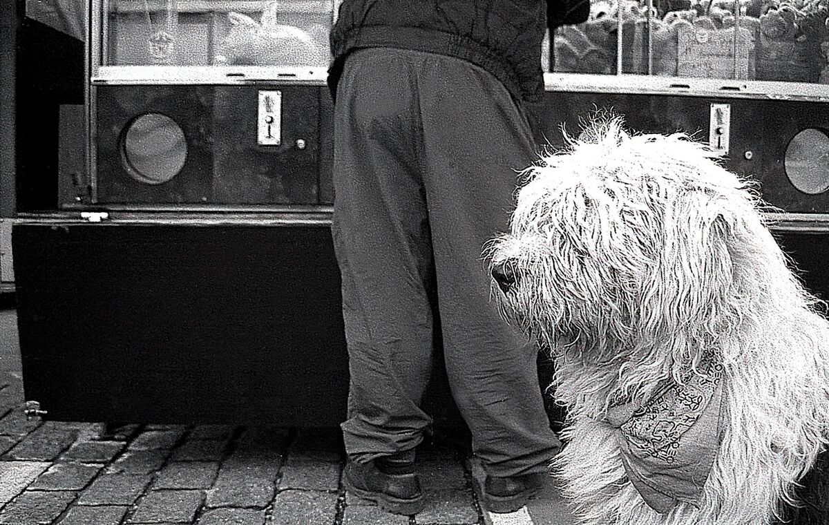 Cul et chien