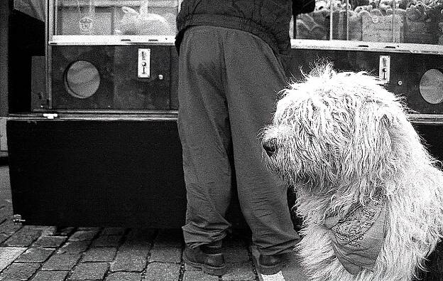 Cul et chien