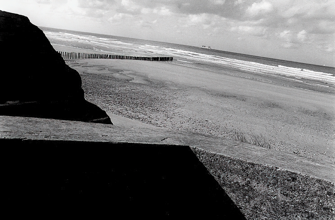 Paysage N et B