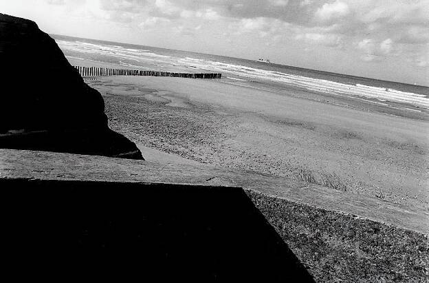 Paysage N et B
