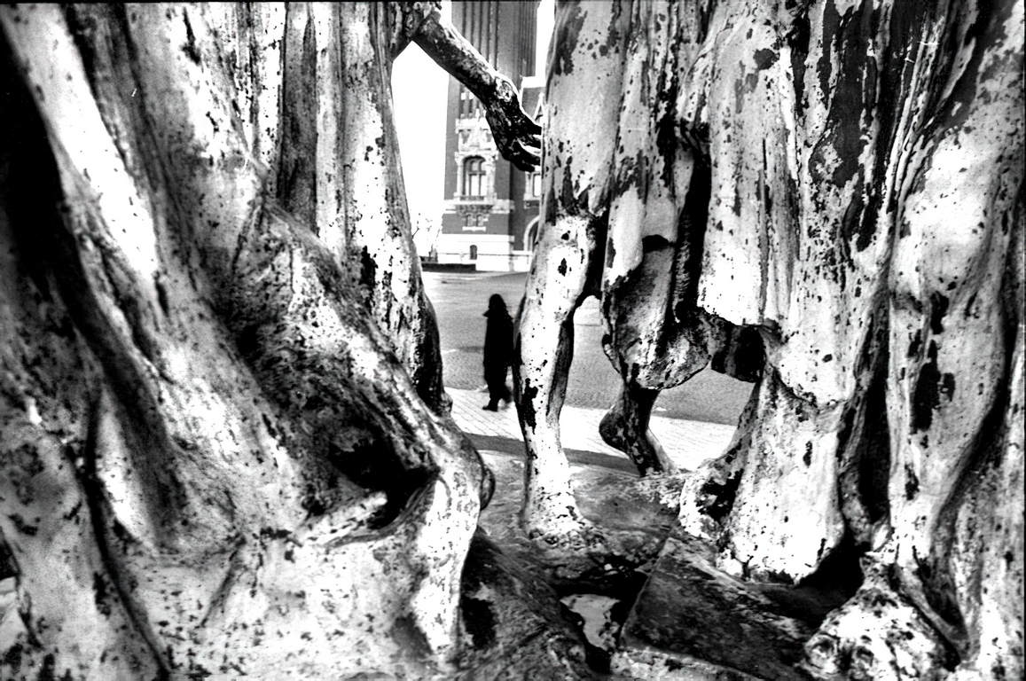 Calais - Six Bourgeois