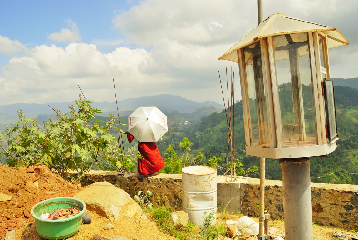 Moine - Ombrelle - PL