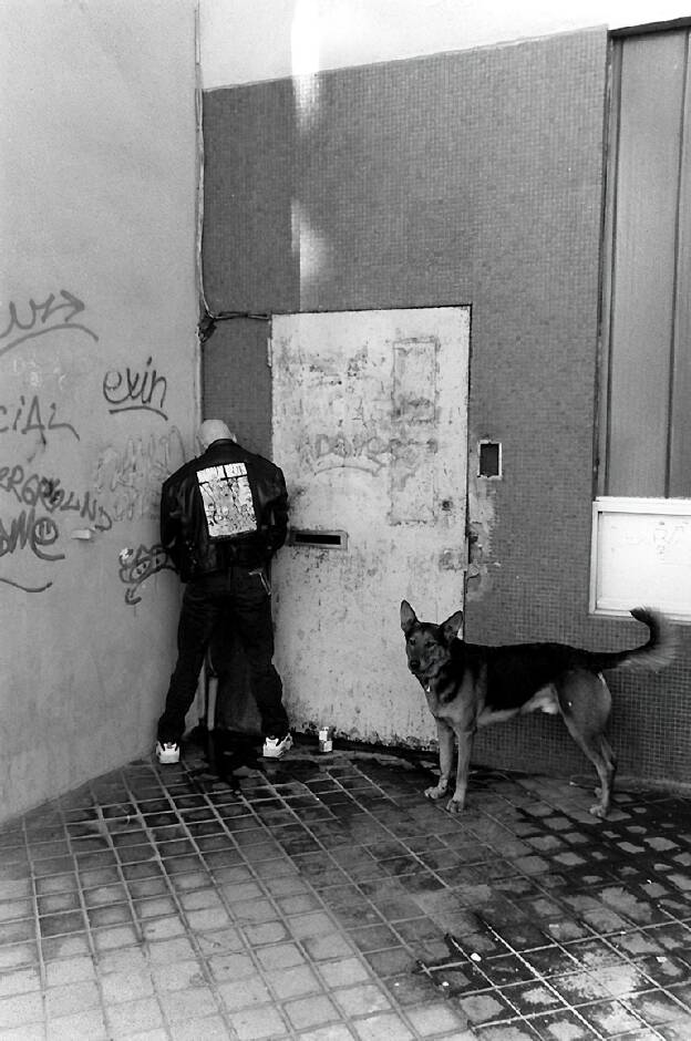 Punk not dead