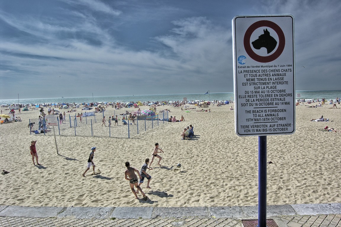 Calais - Chien interdit