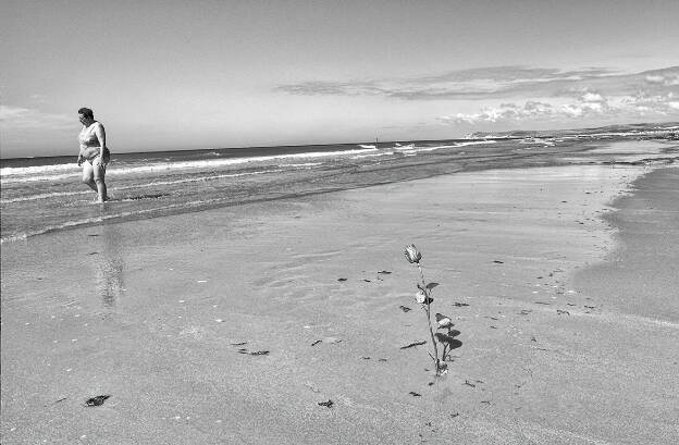 Sand flower