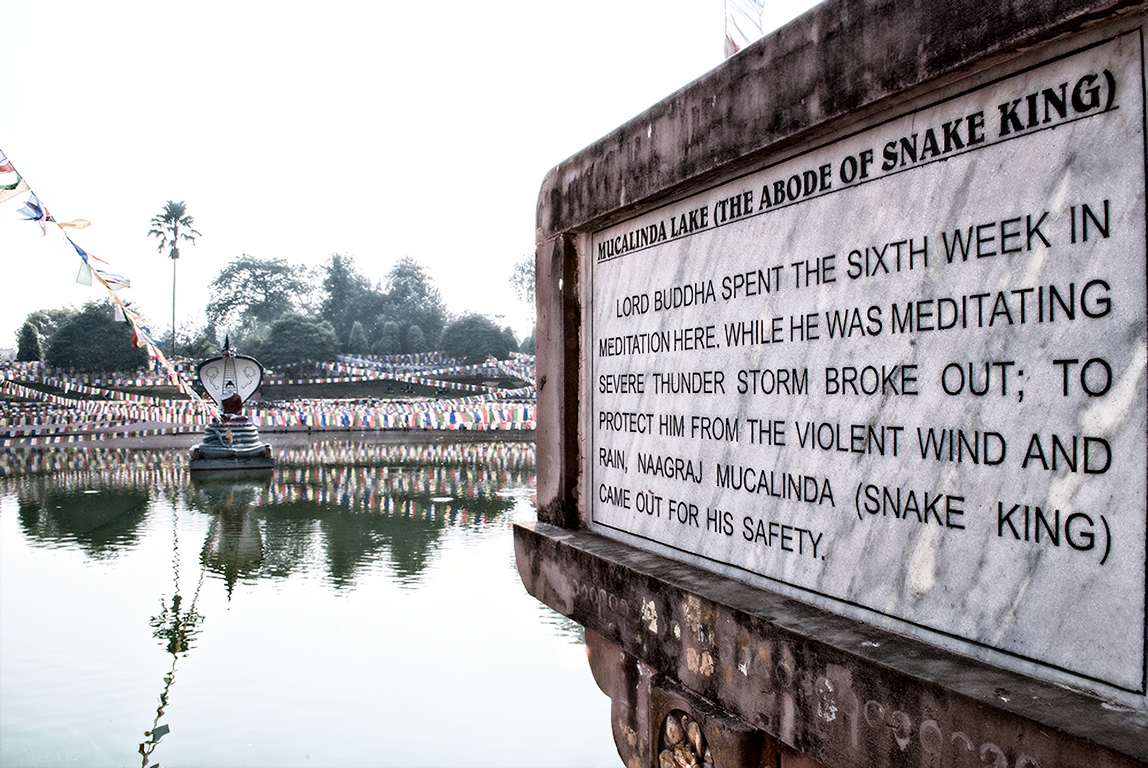 Bodhgaya - Buddha Lake