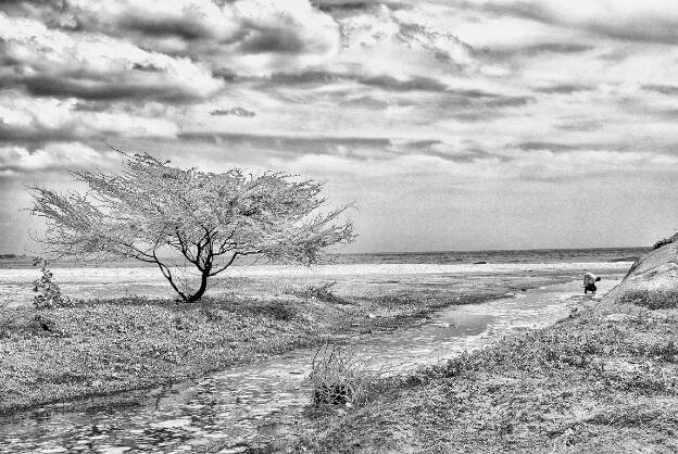 SLK - Paysage cotier