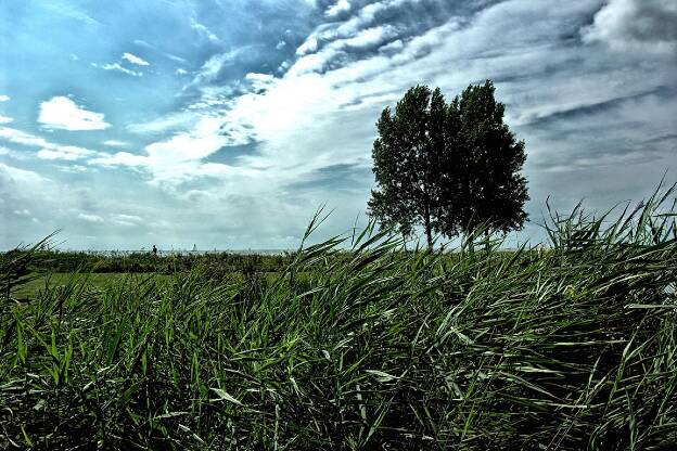 Pays bas - Paysage