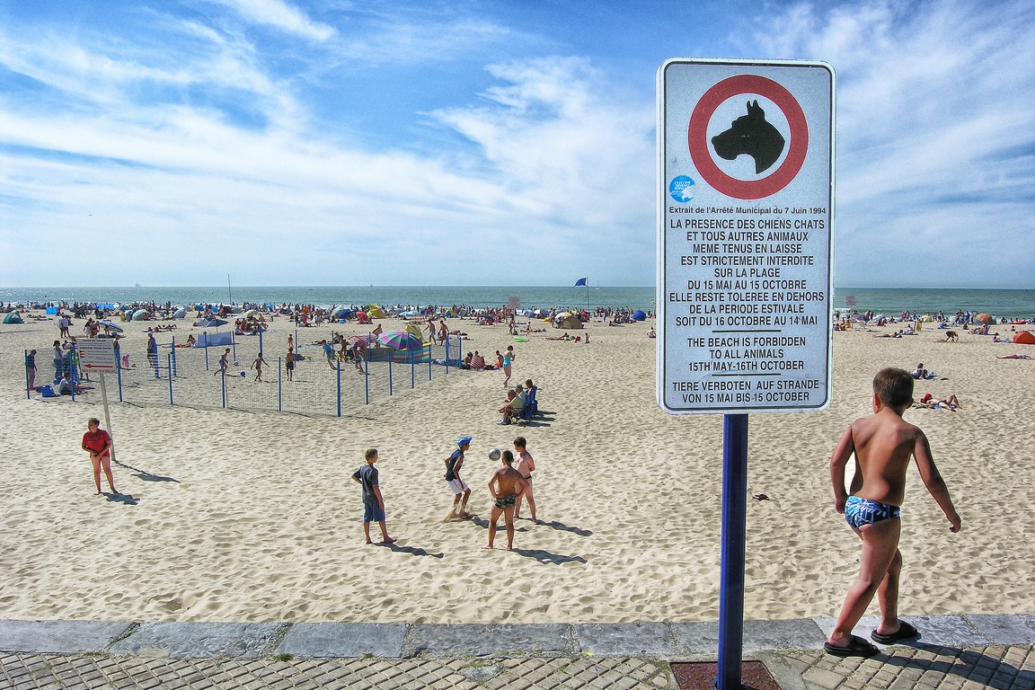 Calais - Maillot de bain