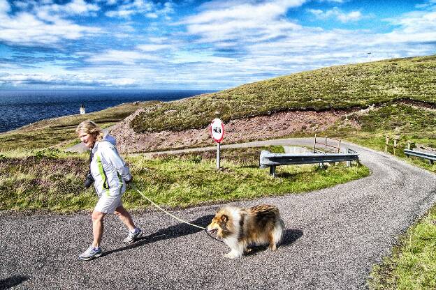 Ecosse - Promenade du chien