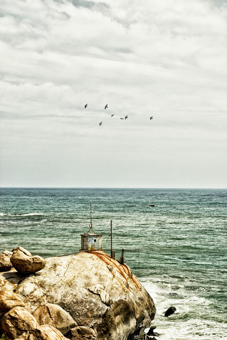 SLK - Kirinda - Oiseaux