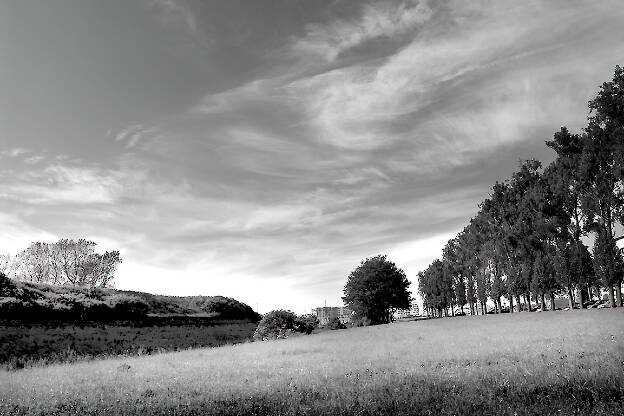 Calais - Paysage