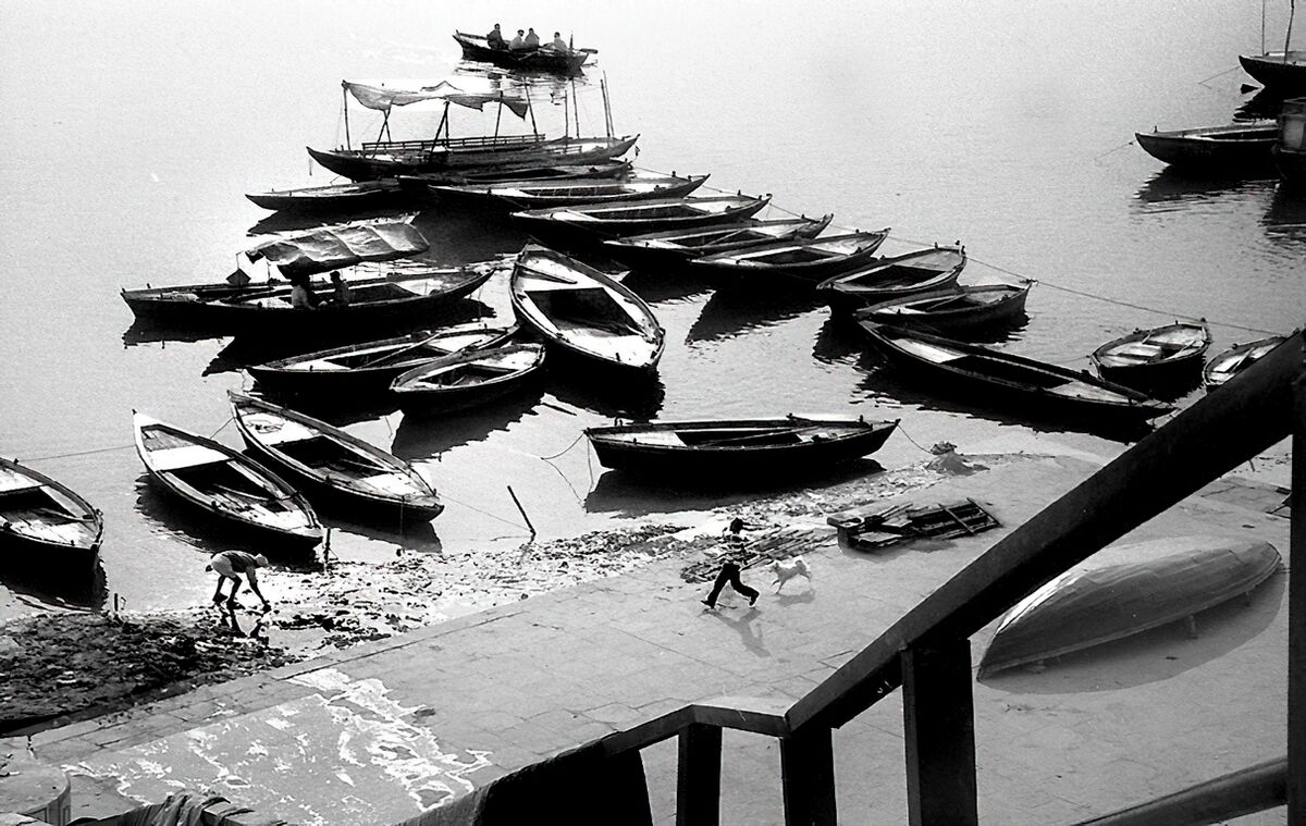 Varanasi - Mome et chien