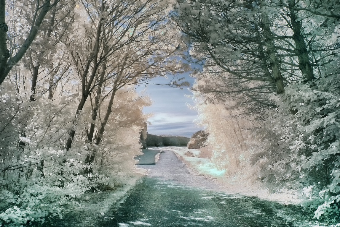 Calais - Citadelle Vauban