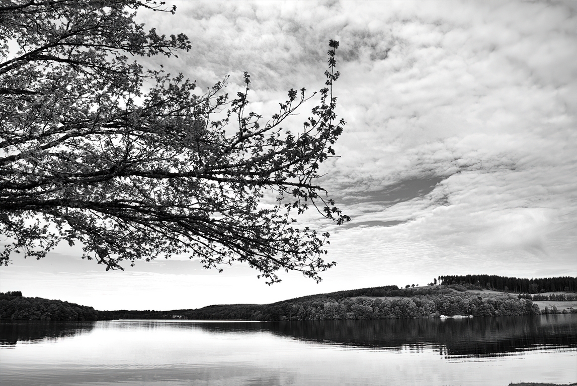 Lac - Paysage ALC