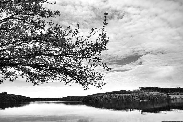 Lac - Paysage ALC