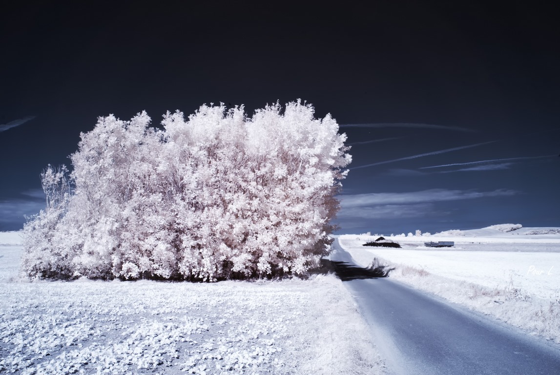 Sangatte - Paysage IR