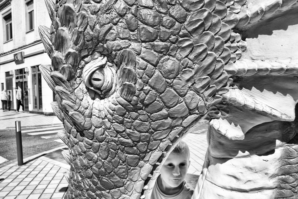 Calais - Dragon smile