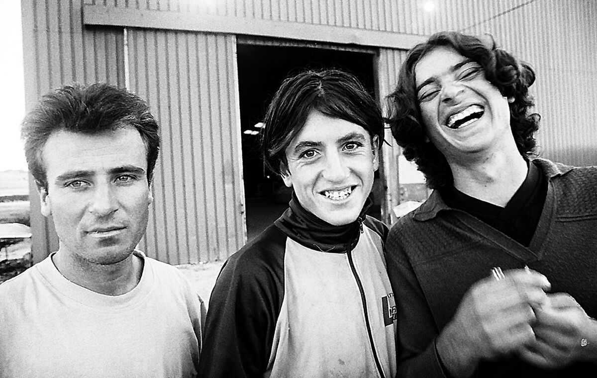 Trois petits malins