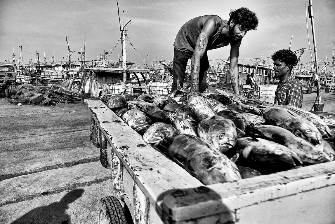 Pecheurs - Port de Chennai