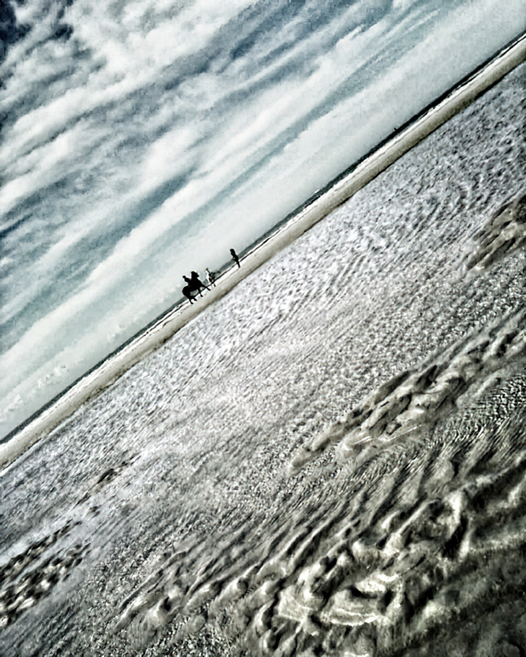 Chevaux sur la plage