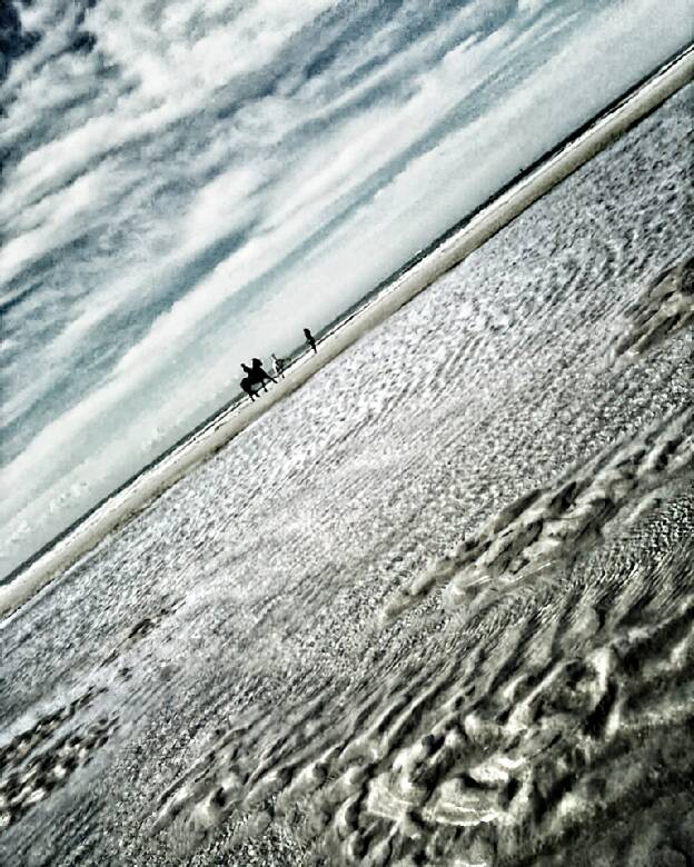 Chevaux sur la plage
